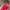 Gucci Y2K Bags & purse Wanita red photo 2