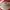 Gucci Y2K Bags & purse Wanita red photo 3