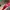 Gucci Y2K Bags & purse Wanita red photo 8