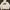 Luxury Hoody Pria white photo 2