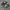 Adidas Casual Sneakers Pria black photo 6