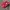 Adidas Casual Sneakers Pria red photo 7