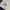 Adidas Gorpcore Casual Windbreaker Pria white blue photo 8