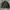The North Face Streetwear Casual Puffer jacket Pria black photo 1