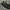 The North Face Streetwear Casual Puffer jacket Pria black photo 7