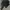 The North Face Streetwear Casual Puffer jacket Pria black photo 8