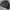 The North Face Streetwear Casual Puffer jacket Pria black photo 6