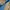 Chaps Lauren Vintage Casual Harrington jacket Pria tan photo 7
