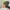 Polo Ralph Lauren Vintage Casual Hat Pria green photo 3