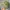 Polo Ralph Lauren Vintage Casual Hat Pria green photo 5