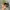 Polo Ralph Lauren Vintage Casual Hat Pria green photo 8