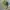 Polo Ralph Lauren Vintage Casual Hat Pria green photo 1