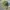 Polo Ralph Lauren Vintage Casual Hat Pria Green