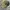 Polo Ralph Lauren Vintage Casual Hat Pria green photo 4