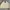 Polo Ralph Lauren Vintage Casual Harrington jacket Pria cream photo 7