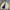 Polo Ralph Lauren Vintage Casual Harrington Jacket Pria Cream