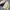 Polo Ralph Lauren Vintage Casual Harrington jacket Pria cream photo 3