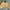 Carhartt Vintage Casual Harrington jacket Pria tan photo 1