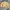 Carhartt Vintage Casual Harrington jacket Pria tan photo 8