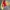 Carhartt Vintage Casual Harrington jacket Pria tan photo 3