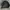 Harley Davidson Streetwear Biker Leather jacket Pria black photo 6