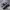 Nike Streetwear Sneakers Pria White Black