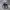 Nike Streetwear Sneakers Pria white black photo 3