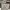 Tommy Hilfiger Streetwear Casual Casual pants Pria khaki photo 5