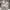 Tommy Hilfiger Streetwear Casual Casual pants Pria khaki photo 4
