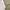 Tommy Hilfiger Streetwear Casual Casual pants Pria khaki photo 8