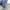 Mango Luxury Minimalist Casual dress Wanita blue photo 2