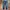 True Religion Y2K Jeans Pria blue photo 6