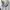 Avirex Streetwear Gorpcore Track jacket Pria gray photo 7