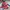 TBJ Nearby Vintage Parka Pria navy red photo 1