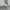 Nike Streetwear Skater Sneakers Pria white black photo 1