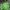 Sportswear Casual Track Jacket Pria Green