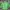 Sportswear Casual Track Jacket Pria Green
