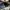 Under Armour Casual Hat Pria navy photo 5