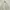 Vintage Puffer jacket Pria white photo 1