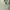 Vintage Puffer jacket Pria white photo 2