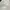 Luxury Muslim Casual dress Wanita white photo 2