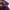 MLB Casual Sneakers Pria purple photo 4