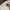 Vintage Casual Harrington jacket Pria white photo 6