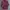 Uniqlo Y2K Casual Casual shirt Pria burgundy red photo 2