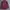 Uniqlo Y2K Casual Casual shirt Pria burgundy red photo 4