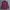 Uniqlo Y2K Casual Casual Shirt Pria Burgundy Red