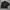 Uniqlo Casual Bomber jacket Pria black photo 3