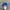 MLB Skater Sportswear Hat Pria blue photo 2