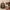 Pull & Bear Minimalist Hoody Wanita brown photo 1