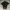 Burberry Casual Polo shirt Pria black photo 1